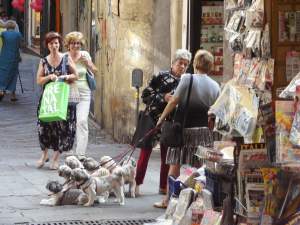 Xtrallusion photo gallery of Italy. Photos, pictures, images and photographs of the Italian Rivieras, the Italian Lakes, the Italian Alps, the Cinque Terre, the Amalfi coast and some of the most beautiful corners of Italy. Plus photos of Italian cities such as Pisa, Milan, Genoa and Rome.